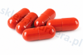 Bio7 CHOC starter oczyszczalni bakterie BIO 7 | SILNY STARTER BIO7 5 DAWEK